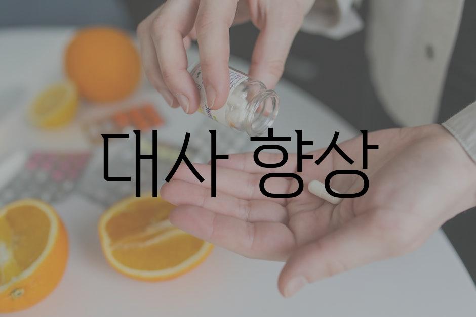 대사 향상