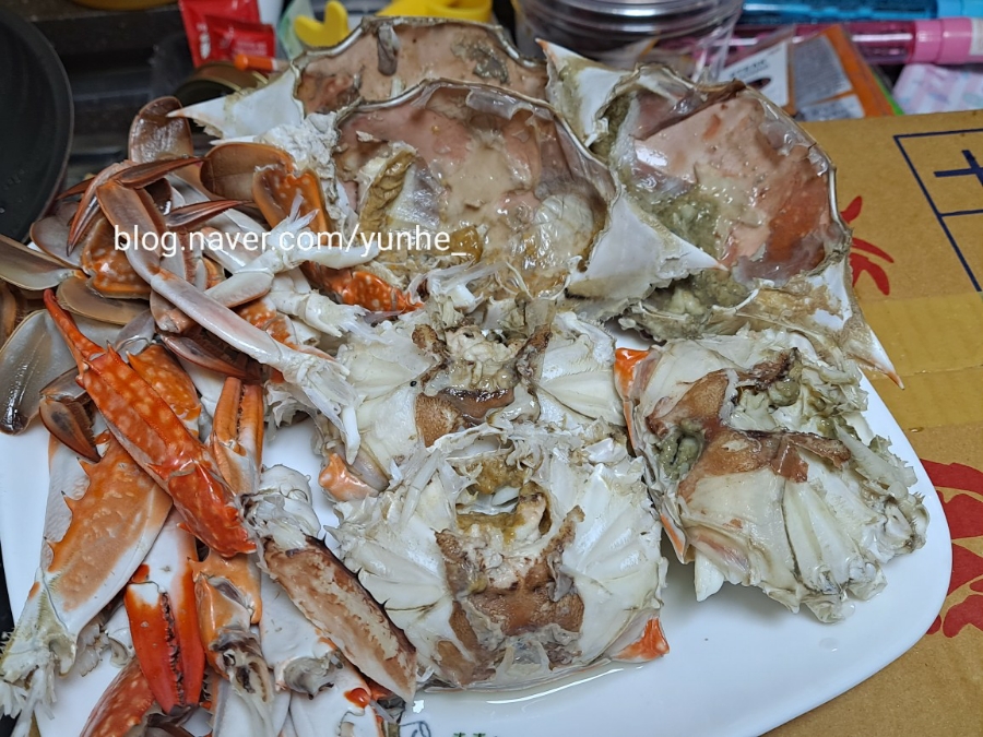 은사시힐링캠핑장 다녀왔습니당:-)(+수영장, 4