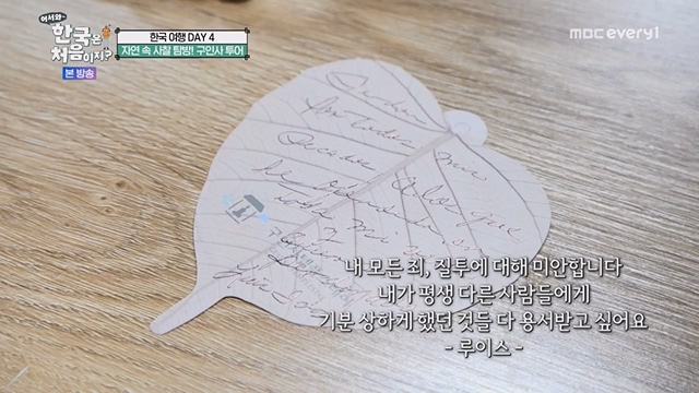 어서와 한국은 처음이지.E267.230616p.WANNA.mp4_20230616_210503.033.jpg