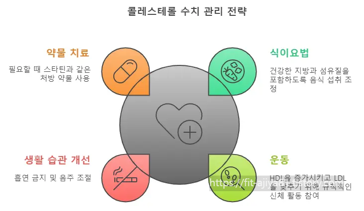 콜레스테롤 수치 관리 전략