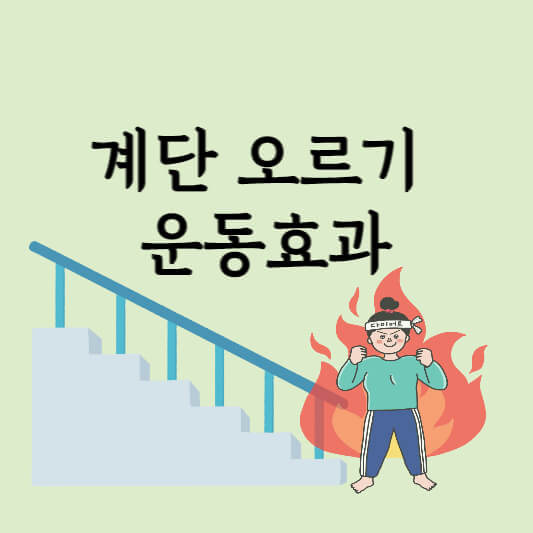  계단 오르기 운동효과 및 칼로리 소모 주의사항