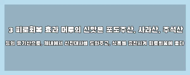  3 피로회복 효과 머루의 신맛은 포도주산, 사과산, 주석산 등의 유기산으로, 체내에서 신진대사를 도와주고, 식욕을 증진시켜 피로회복에 좋다