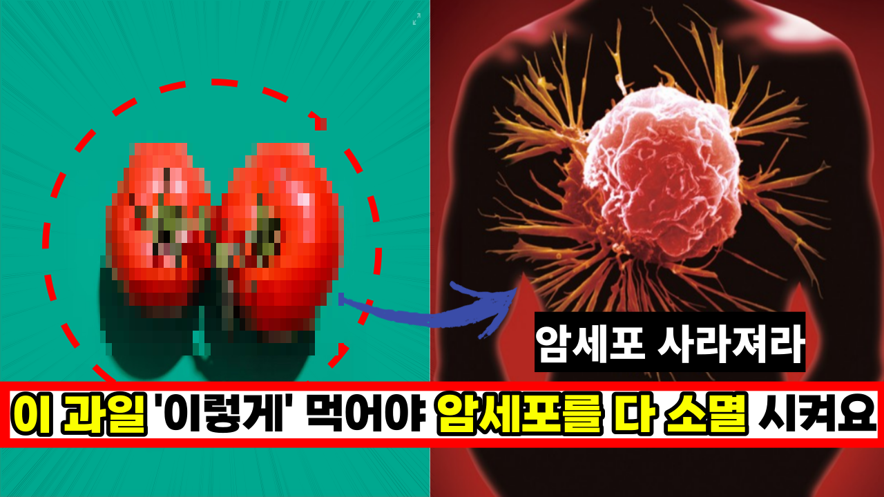  토마토, '이렇게' 먹어야 암세포를 다 소멸 시킵니다.