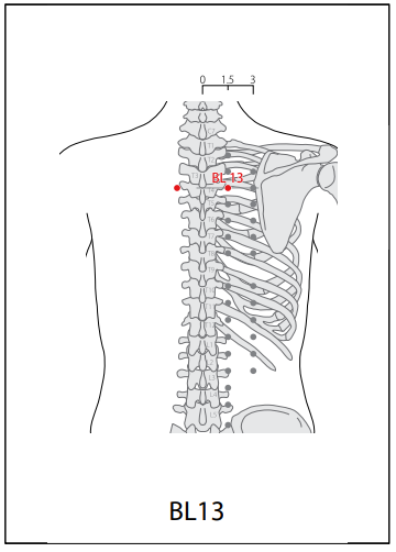 족태양방광경(BL) > BL13 폐유 (肺兪) 1