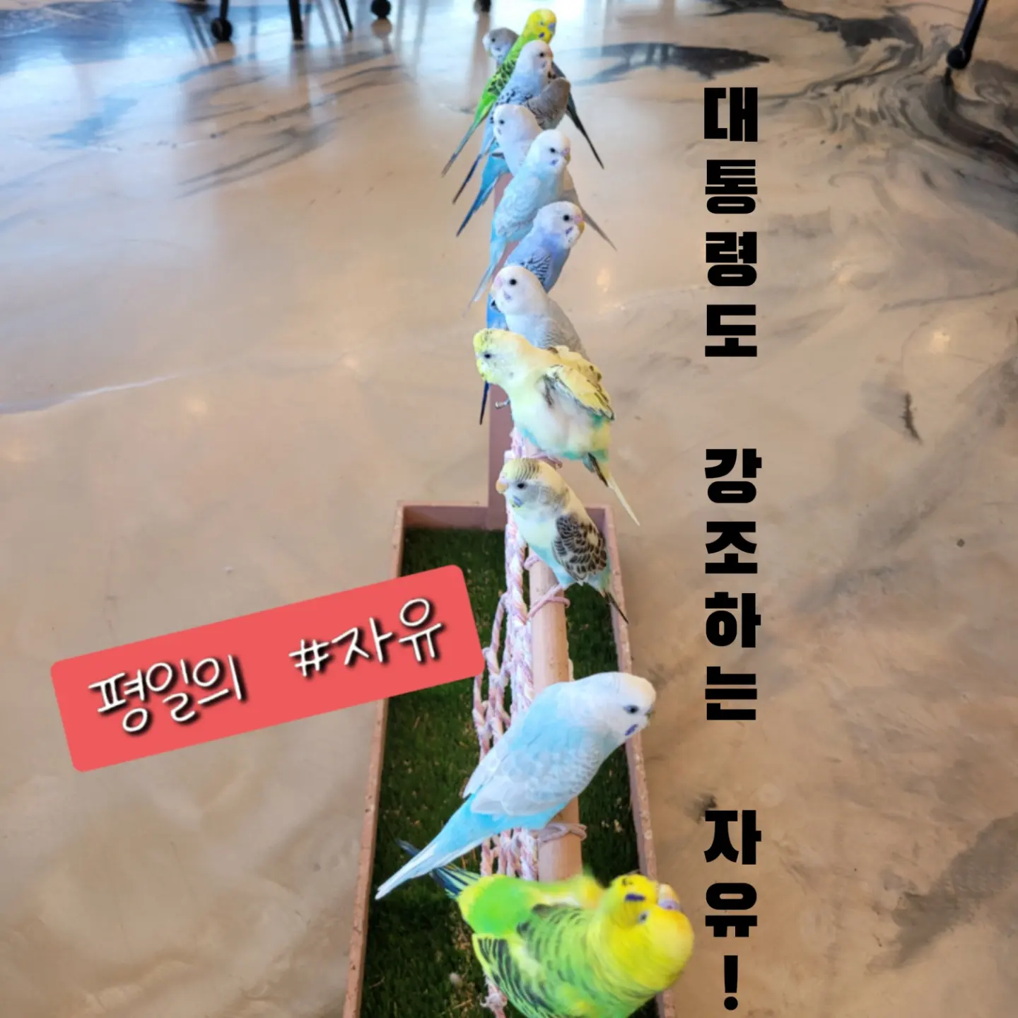 카페 사랑 이미지