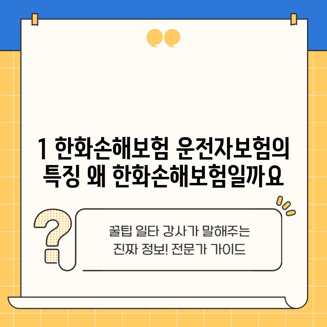 1. 한화손해보험 운전자보험의 특징: 왜 한화손해보험일까요?