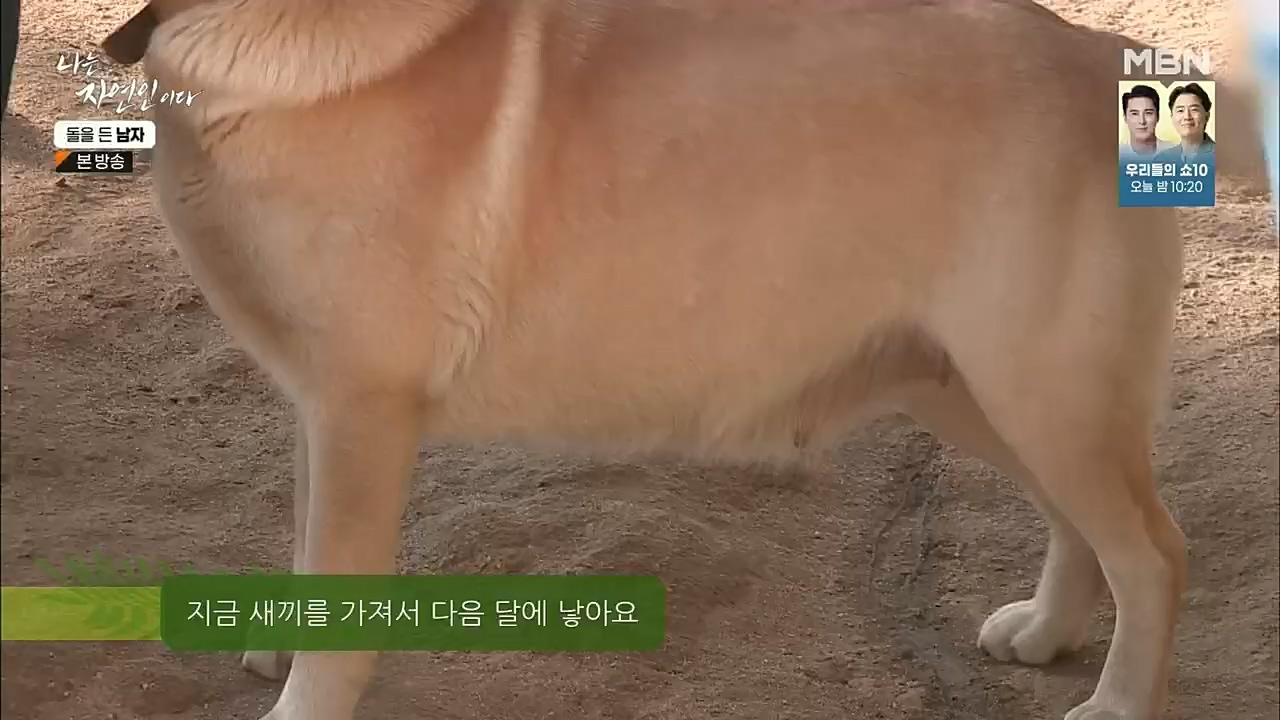 나는 자연인이다.E532.221215p.H264-F1RST.mp4_20221215_194300.753.jpg