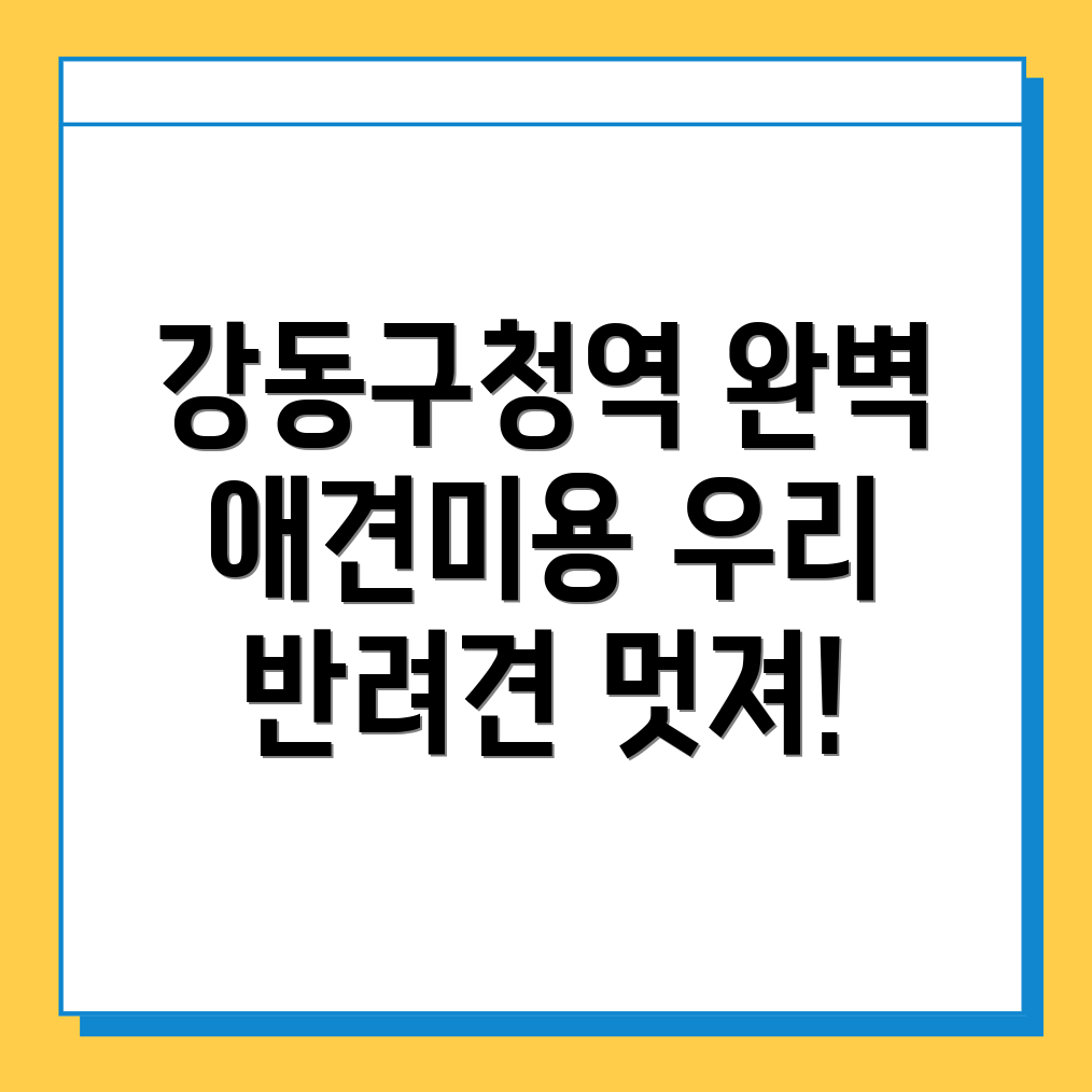 강동구청역 애견미용실