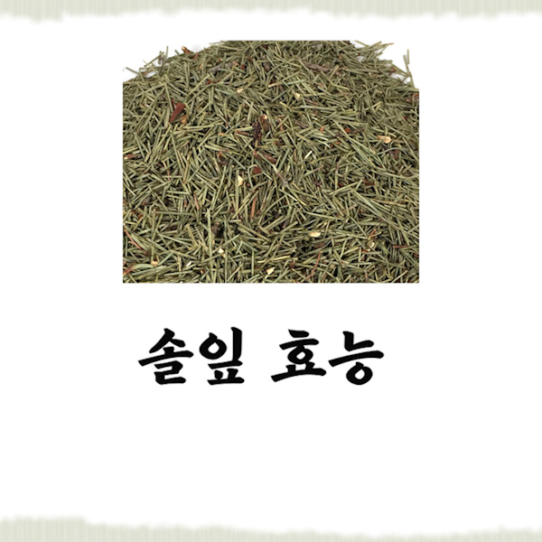  솔잎 효능에 있는 놀라운 사실