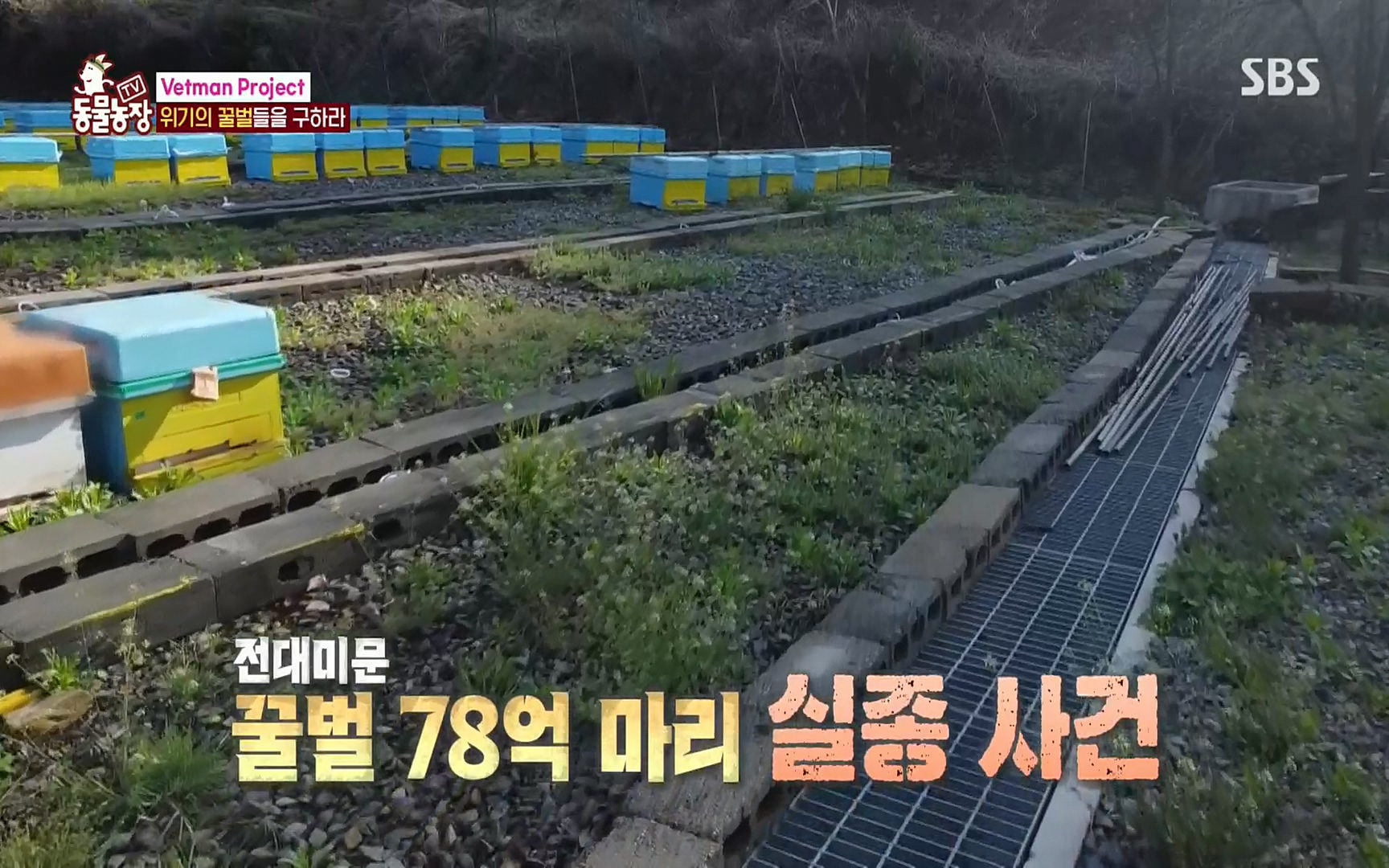 TV 동물농장.E1072.220605p.H264-F1RST.mp4_20220605_181159.738.jpg