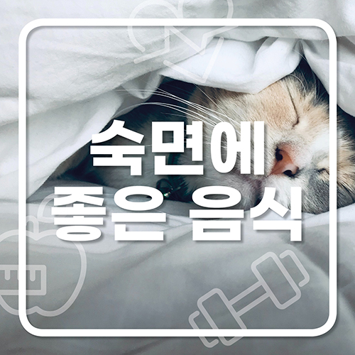  숙면에 좋은 음식