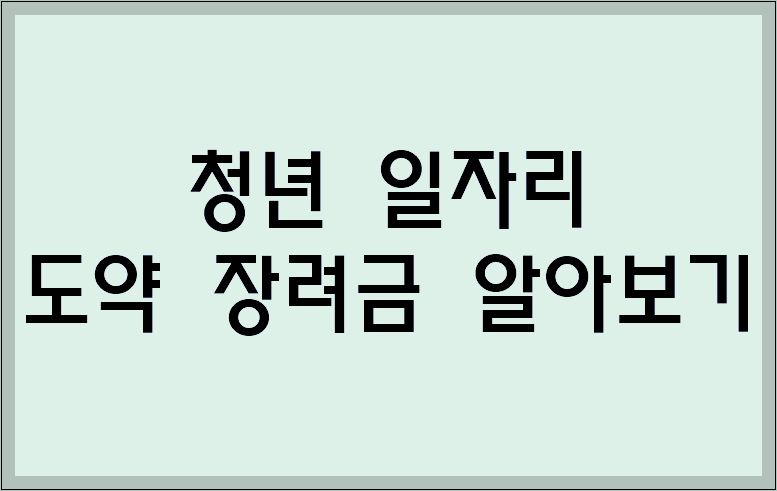 청년 일자리 도약 장려금