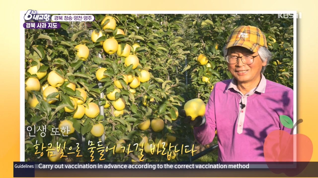 6시 내고향.E7907.231108p.H264-F1RST.mp4_20231108_204130.556.jpg