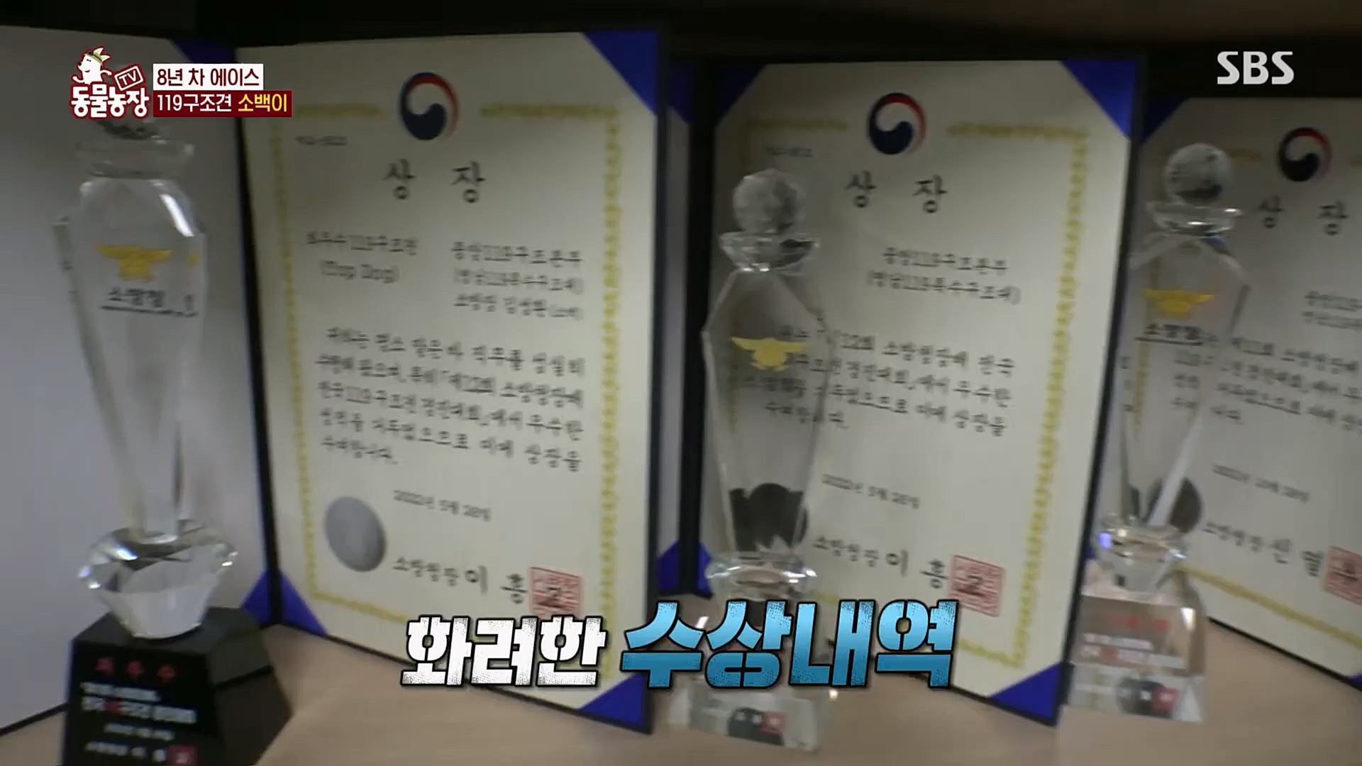 TV 동물농장.E1109.230226p.H264-F1RST.mp4_20230226_161920.161.jpg