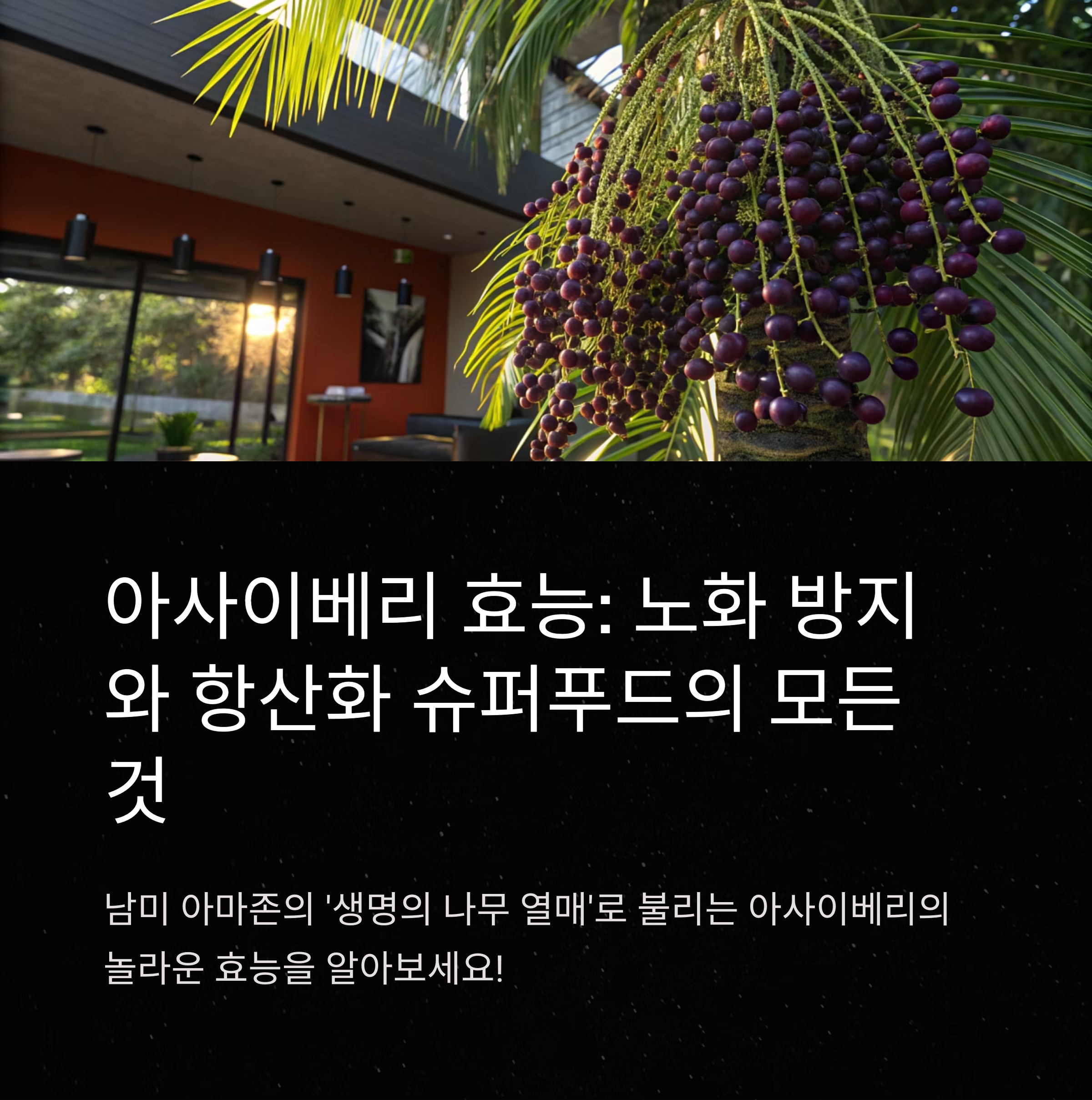 아사이베리 효능