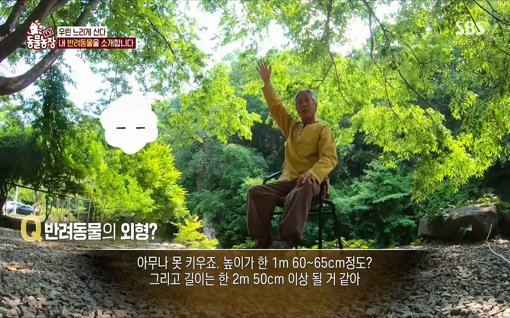 TV 동물농장.E1074.220619p.H264-F1RST.mp4_20220619_180821.865.jpg