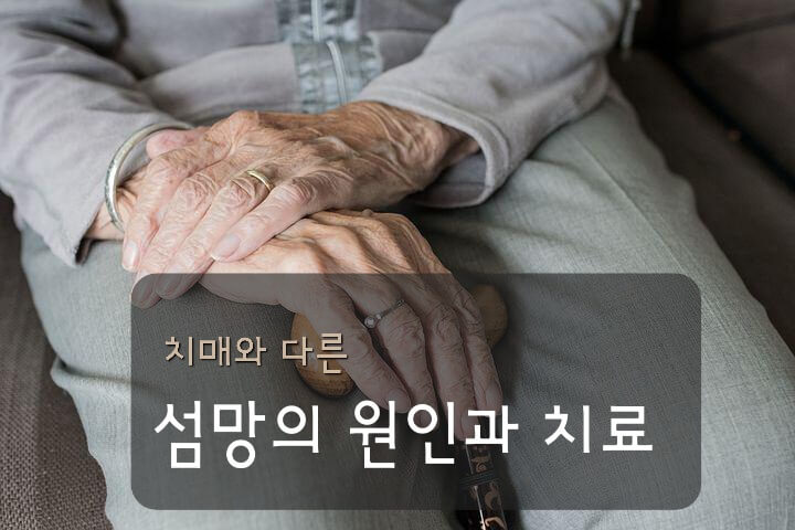 노인의 손 사진