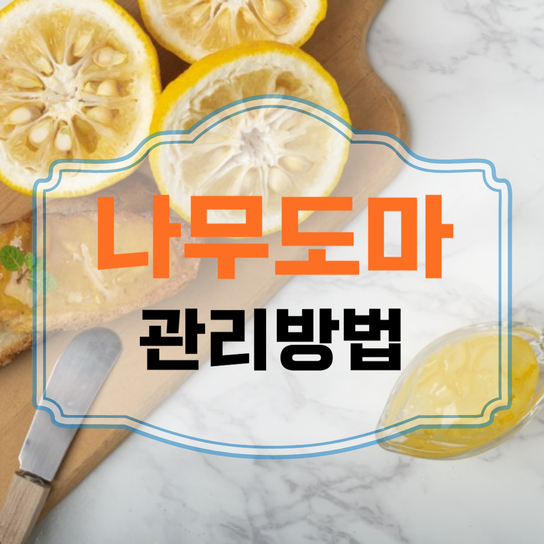 나무도마