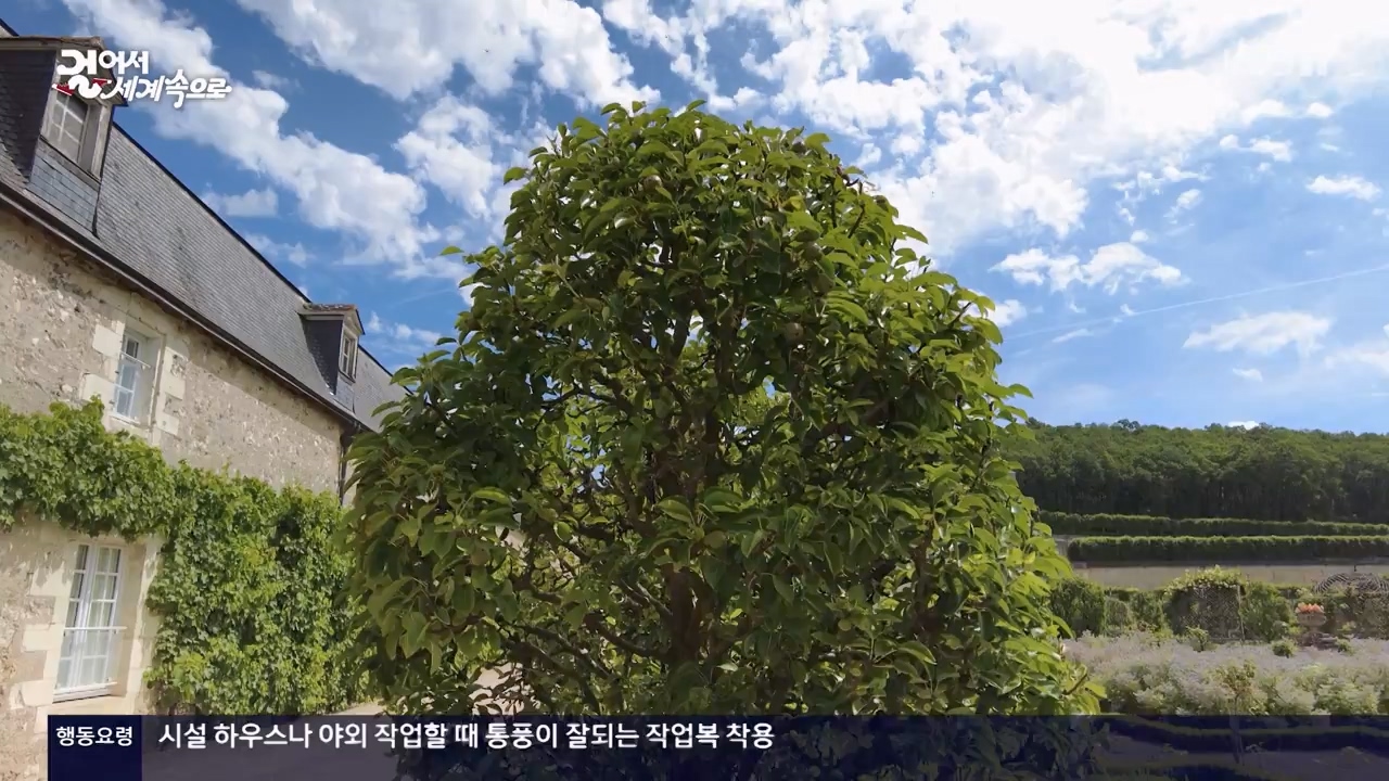 걸어서 세계속으로.E804.230806p-NEXT.mp4_20230812_180545.524.jpg