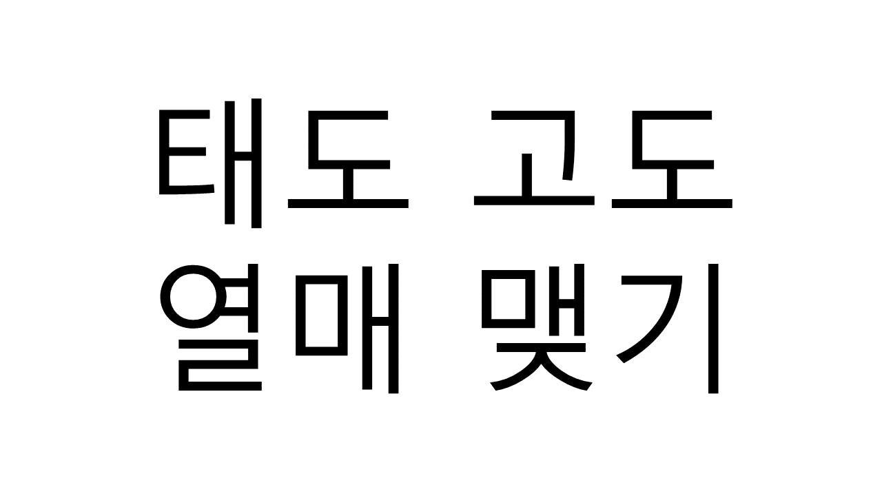 태도 고도, 열매 맺기의 리더십