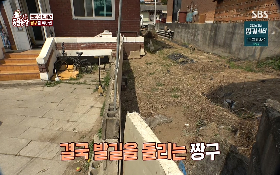 TV 동물농장.E1068.220509p-NEXT.mp4_20220508_173831.556.jpg