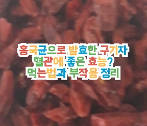 진도-홍국발효구기자-효능