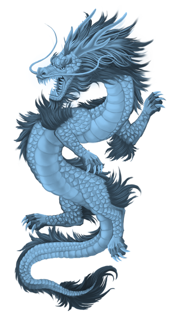  2024년 띠 대운 삼재
