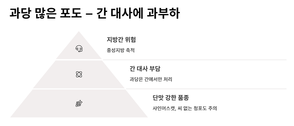 과당 많은 포도 – 간 대사에 과부하