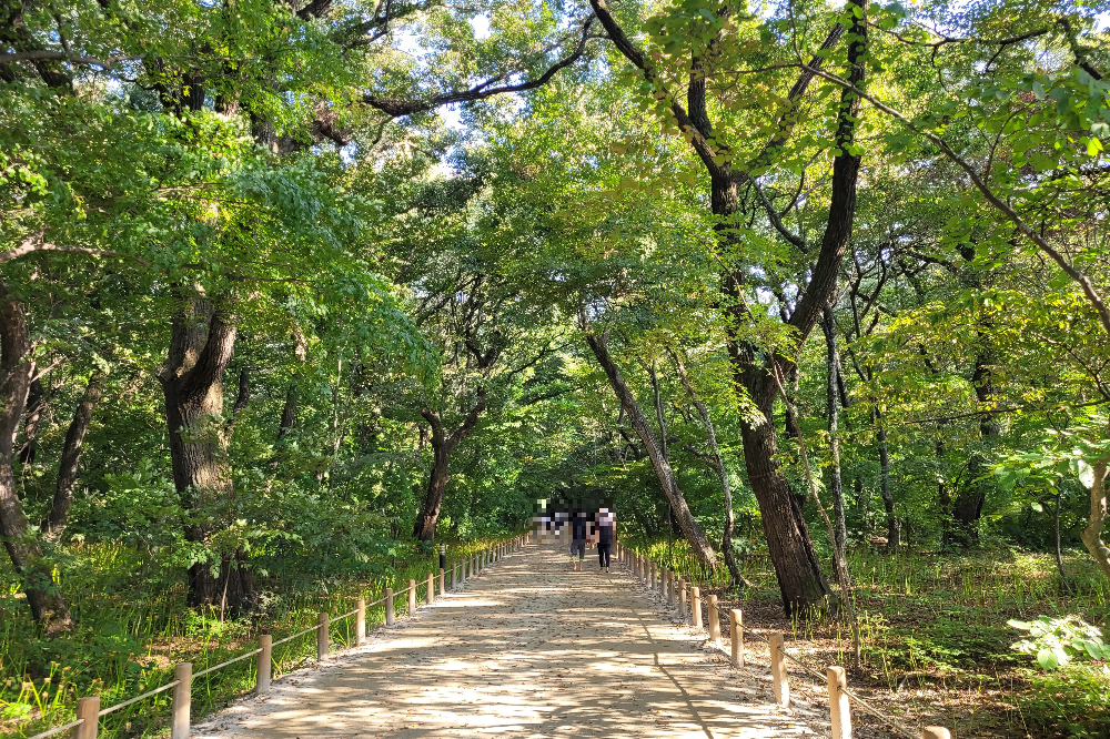 상림숲