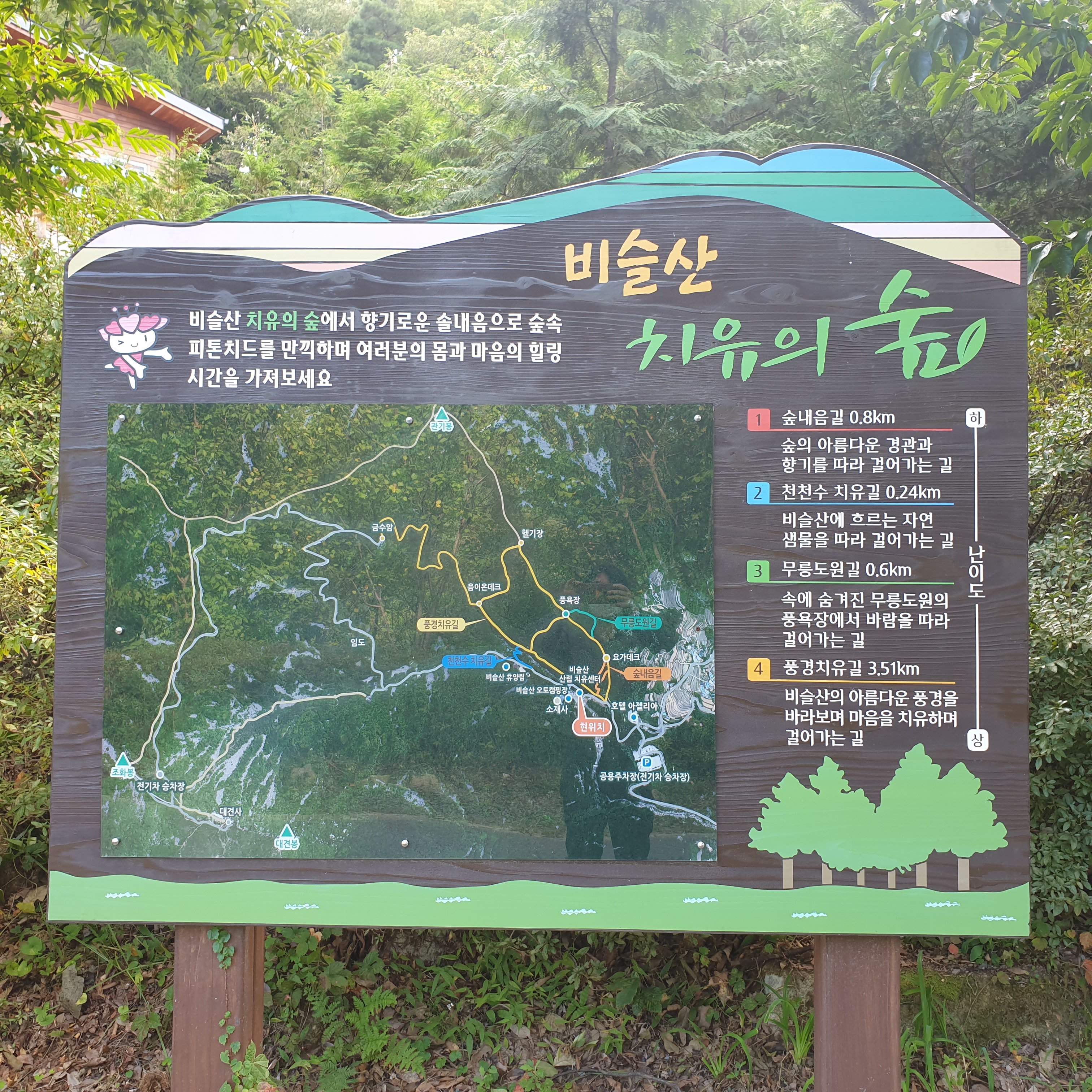  비슬산 치유의숲 가을단풍 걷기코스로 추천해요