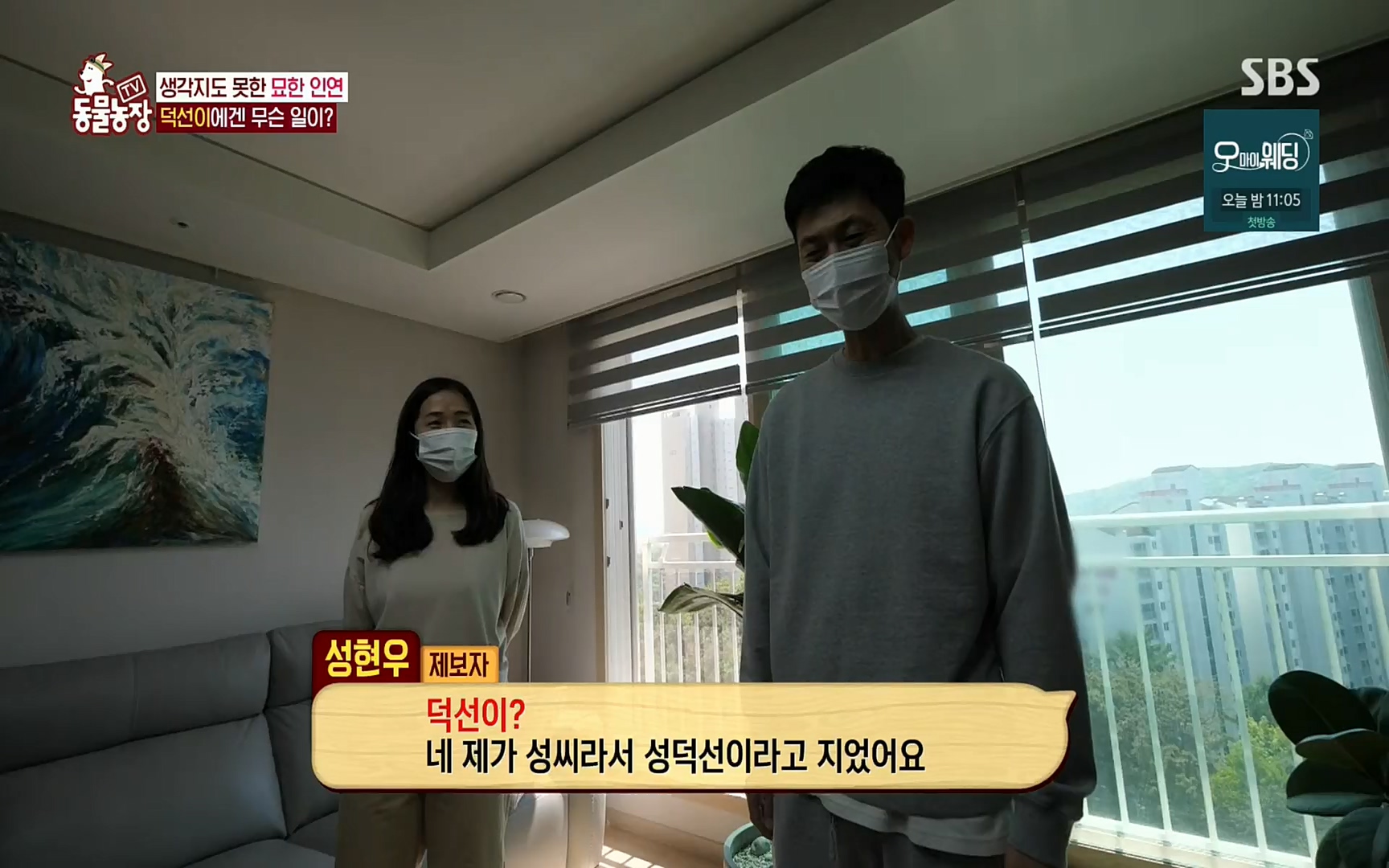 TV 동물농장.E1073.220612p.H264-F1RST.mp4_20220612_181341.308.jpg