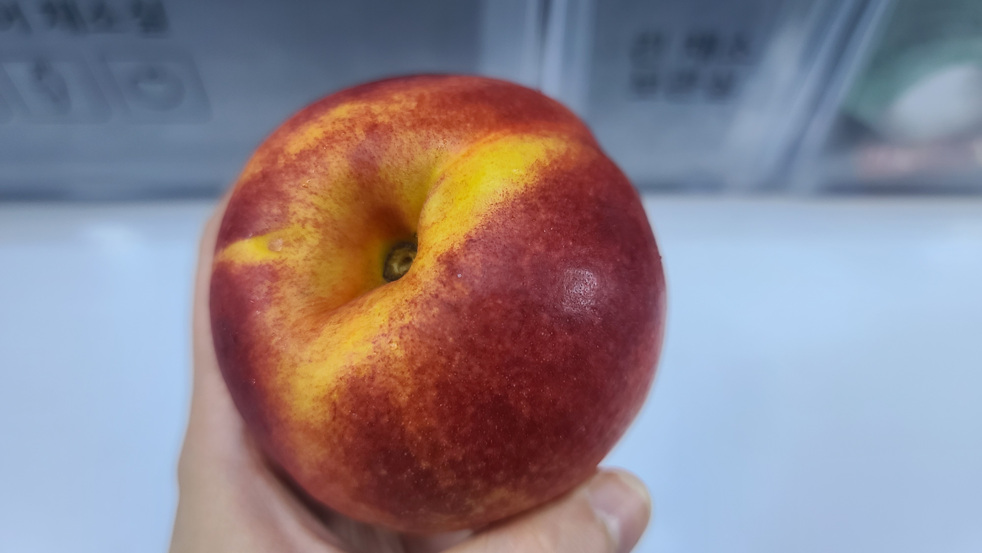  천도복숭아 효능 / 천도복숭아 제철 / 천도복숭아 보관법
