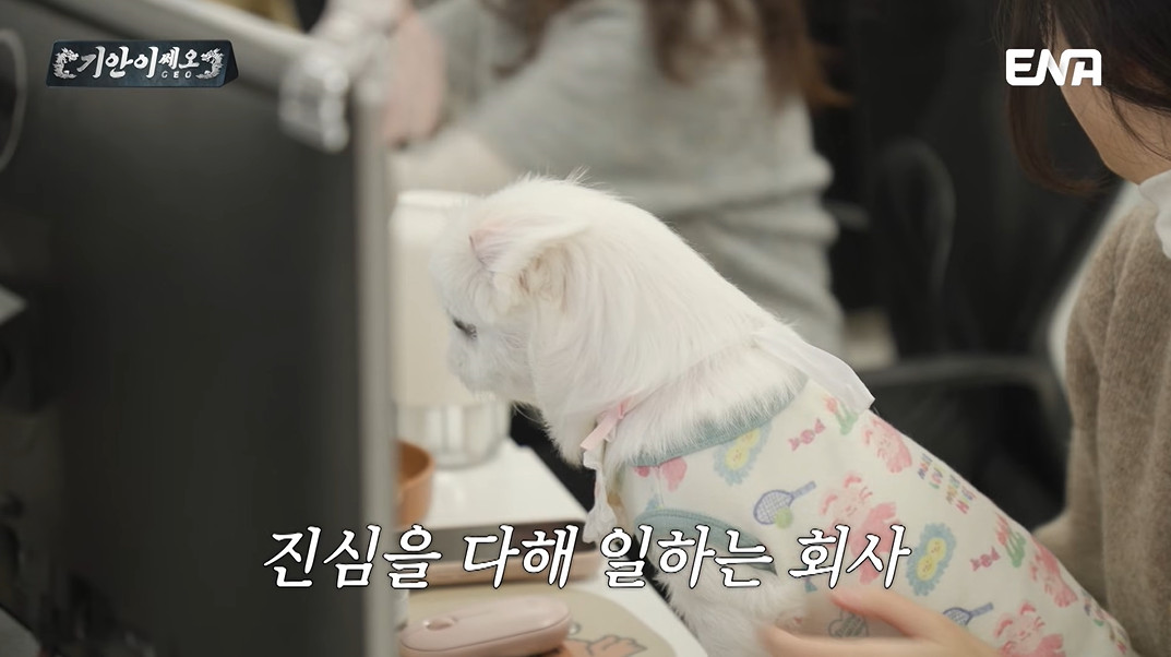 반려인이라면 꿈의 직장인 기업...jpg | 인스티즈