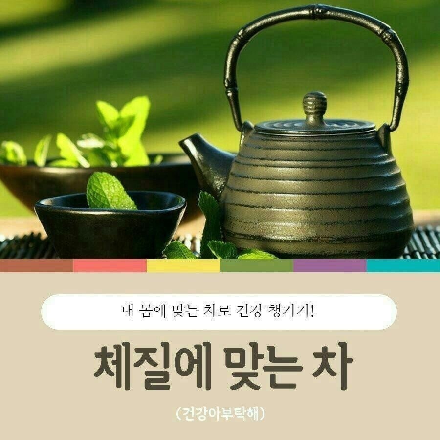  혈압 높은사람 스트레스 뒷머리 뻣뻣한 증상 효과적인 차는???