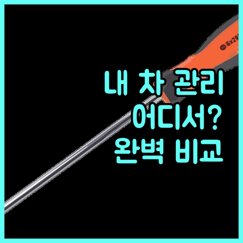 내 차 맞춤 관리법: 공임나라 vs 