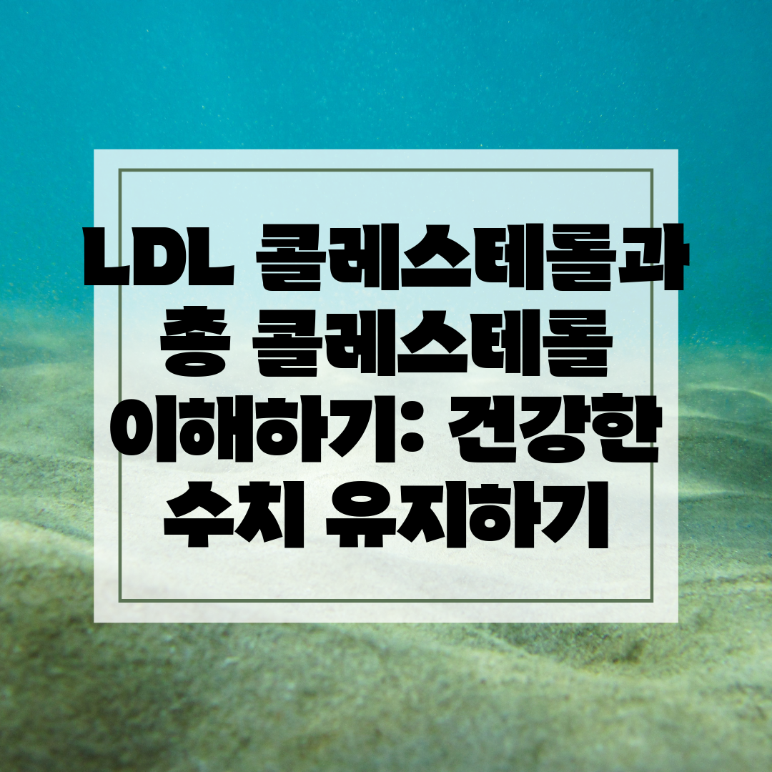 LDL 콜레스테롤과 총 콜레스테롤 이해하기 건강한 수치