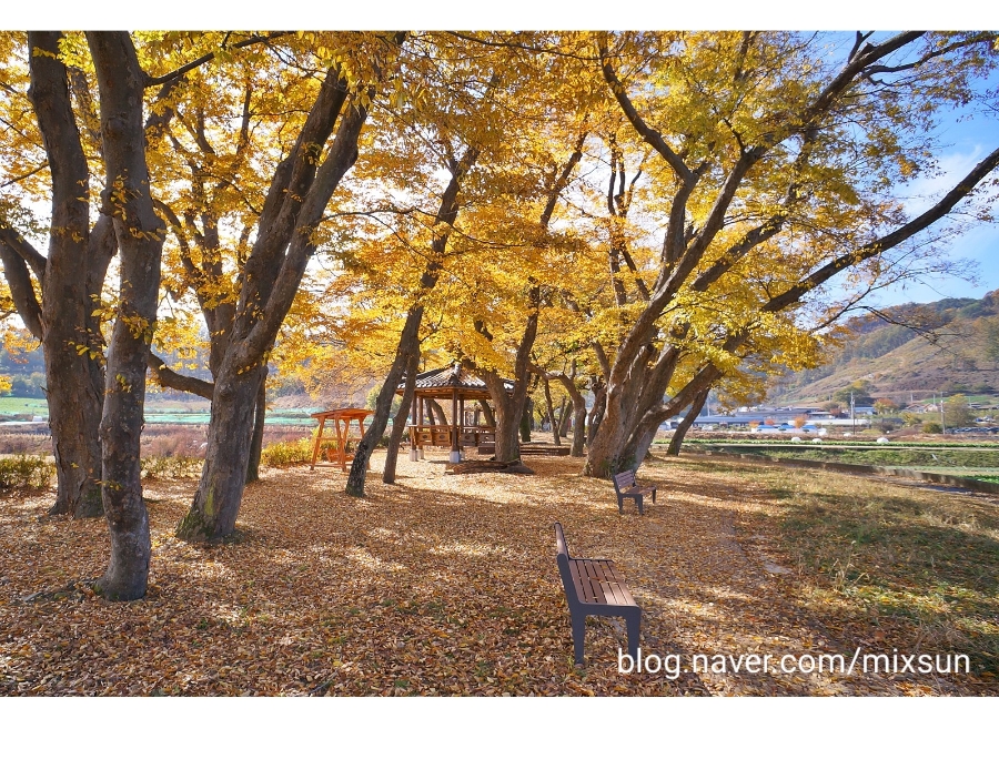 단풍구경 가볼만한 곳 괴산 가볼만한곳 13