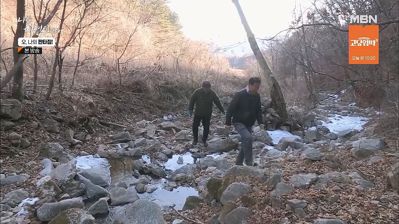 나는 자연인이다.E546.230323p.H264-F1RST.mp4_20230323_201544.446.jpg