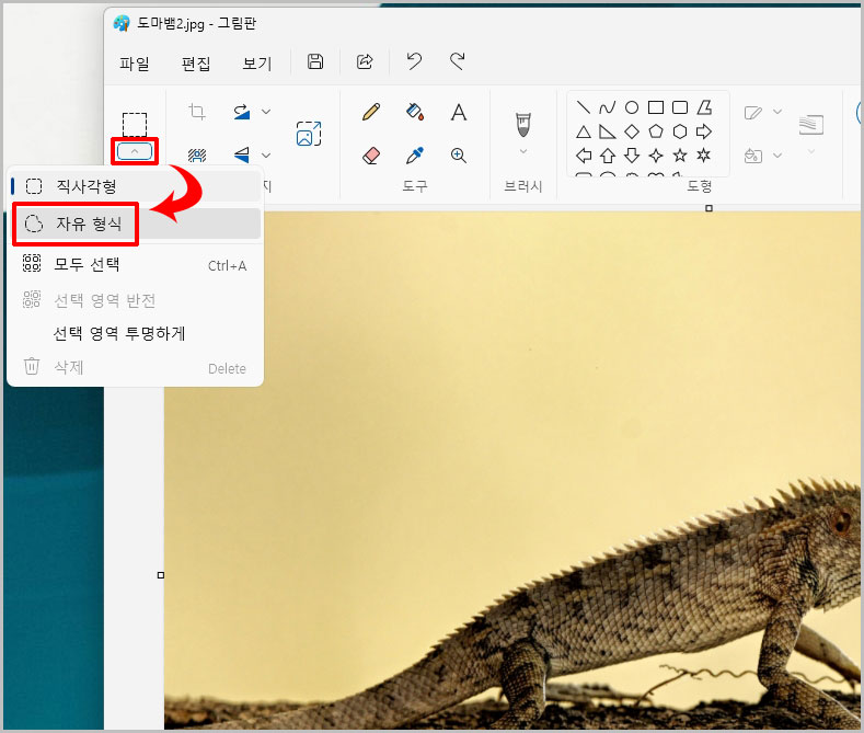그림판 선택 툴