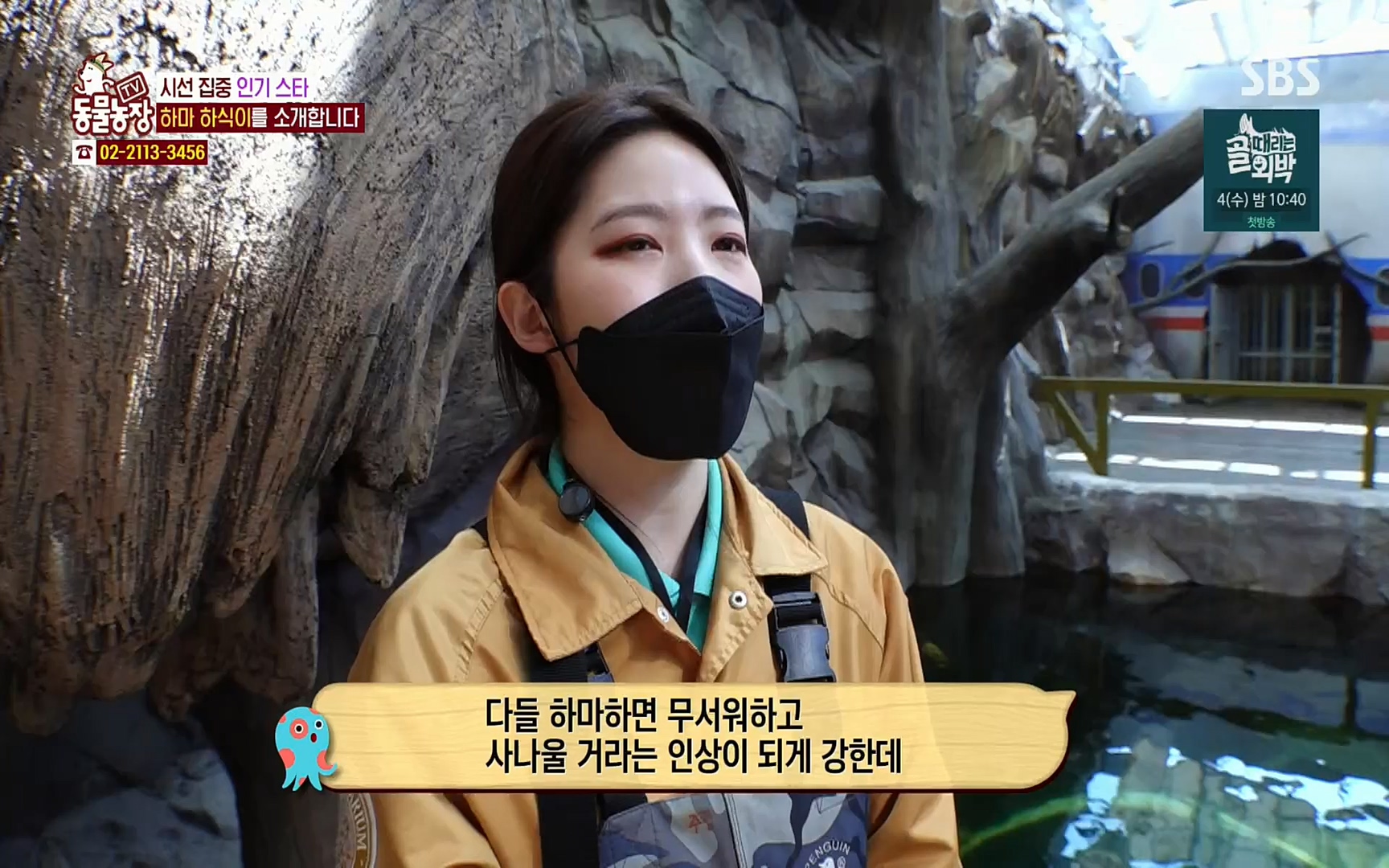 TV 동물농장.E1067.220501p.H264-F1RST.mp4_20220501_184953.478.jpg