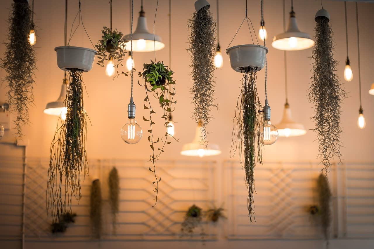 실내 식물 조명 가이드 – 햇빛 부족할 때 사용하는 조명의 종류와 팁 - Indoor Plant Selection Tips for Beginners