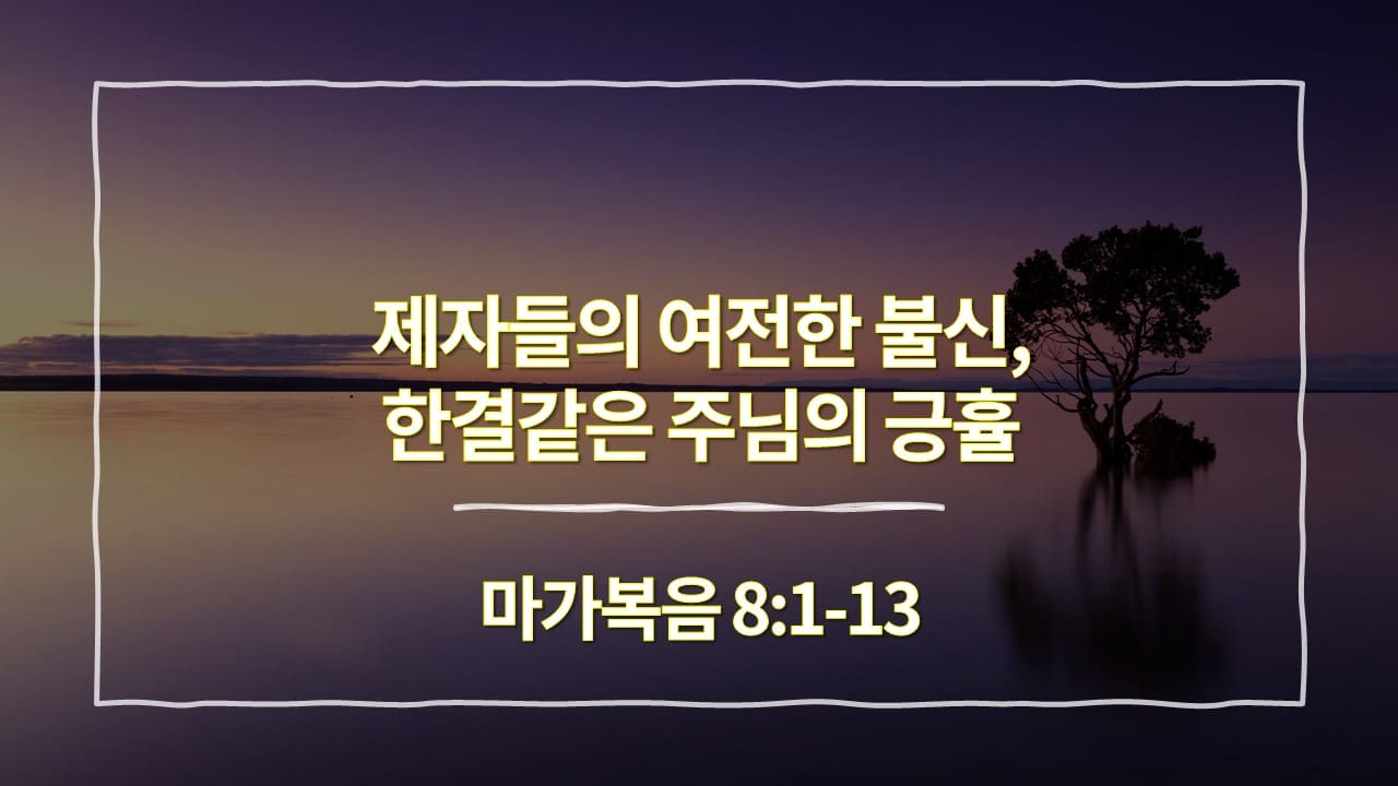 [생명의 삶 묵상] 마가복음 8:1-13&#44; 제자들의 여전한 불신&#44; 한결같은 주님의 긍휼