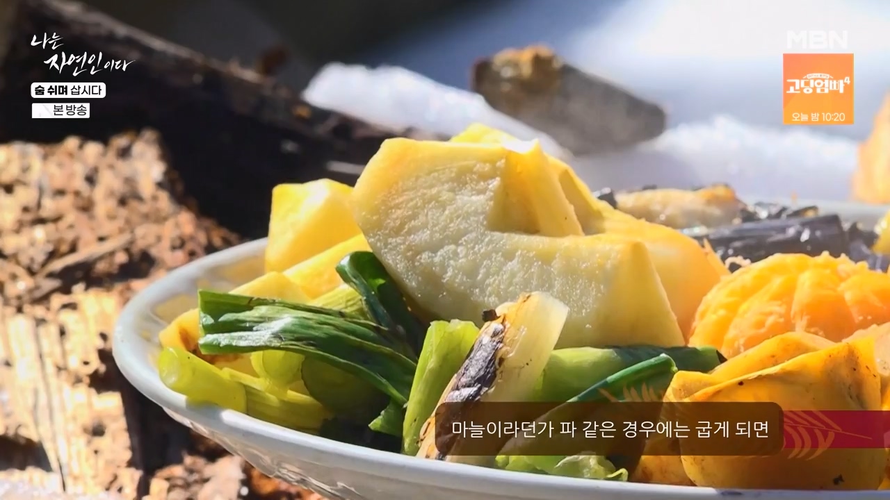나는 자연인이다.E596.240307p-NEXT.mp4_20240307_195651.603.jpg