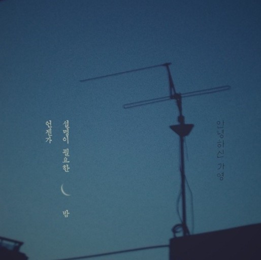  밤에 듣기 좋은 적적한 노래 ! (안녕하신가영 - 언젠가 설명이 필요한 밤)
