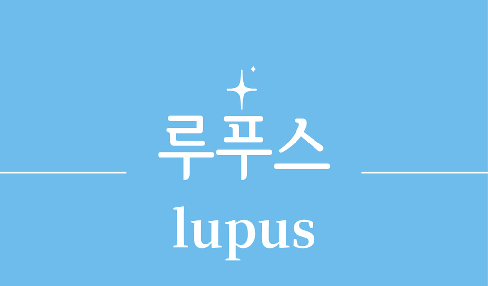 '루푸스(lupus)'