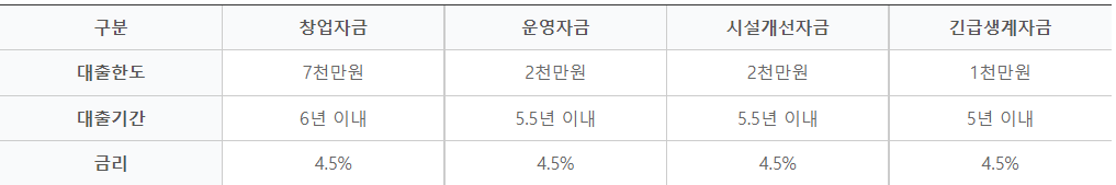 미소금융 청년 개인사업자 대출