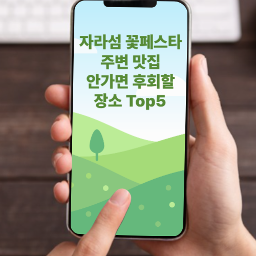 자라섬 꽃 페스타 가는 길, 근처 5대 맛집 추천