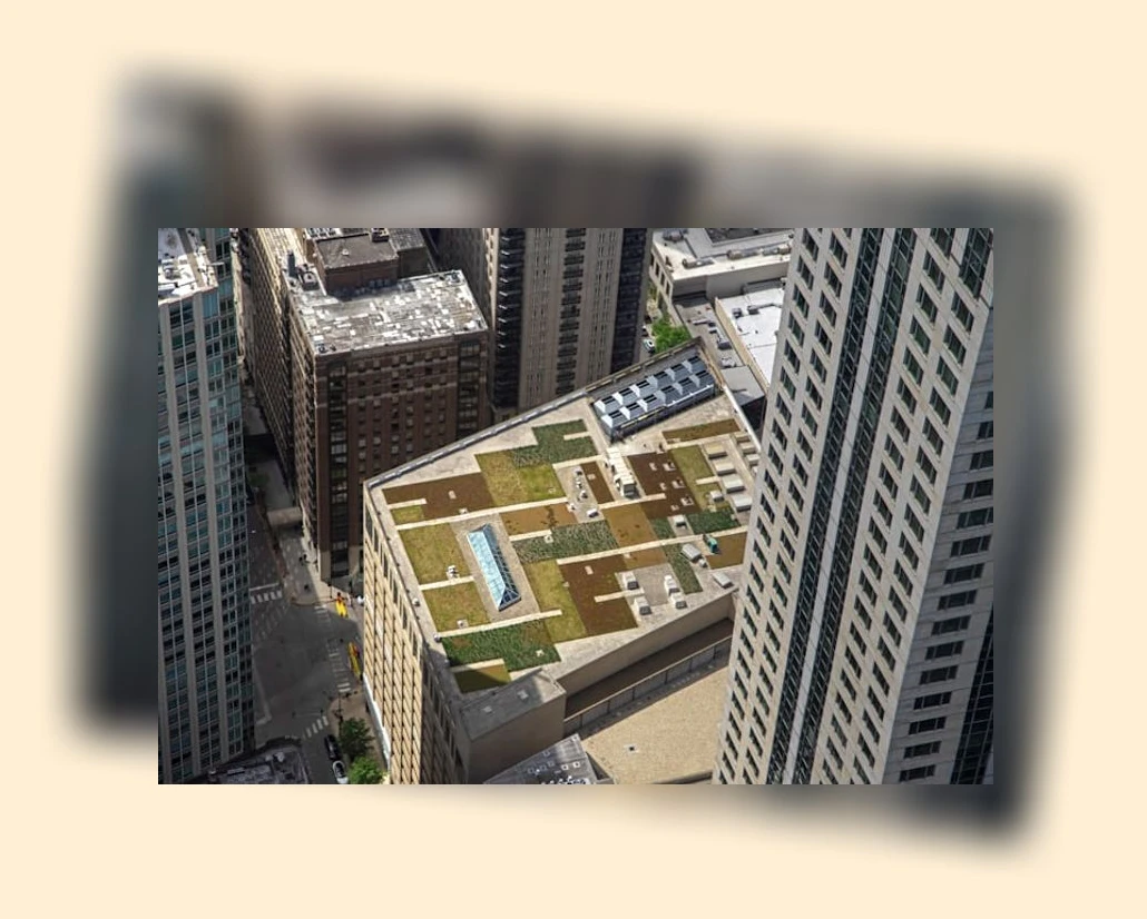 혼자 여행_1_subsection