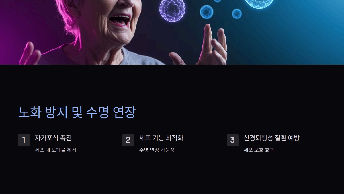 스페르미딘 효능