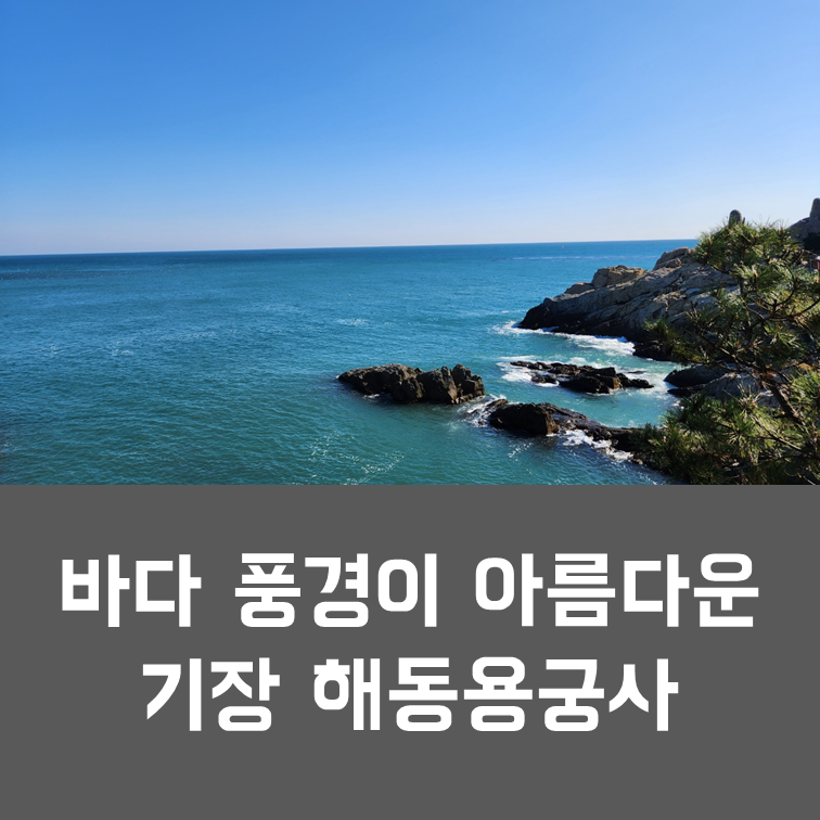  부산 기장여행 - 바다 근처 아름다운 절 해동용궁사 (주차, 관람 팁)